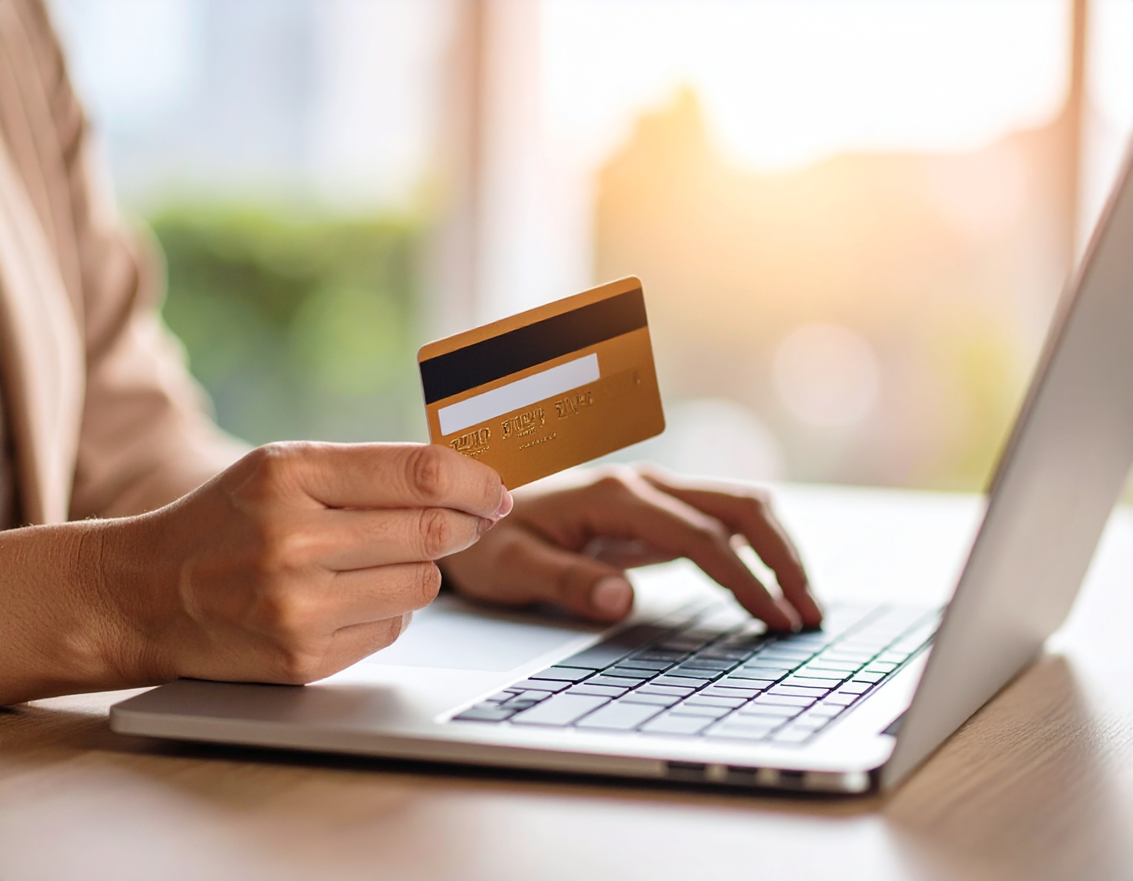 Online Fraud Investigations